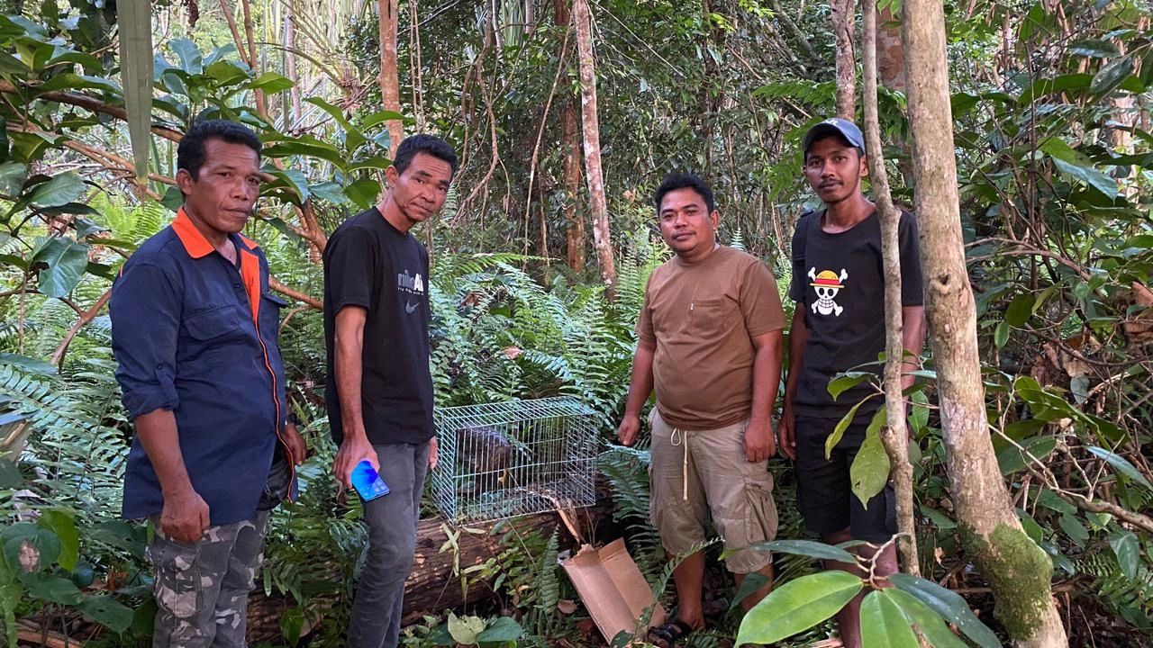 Penyelamatan Trenggiling